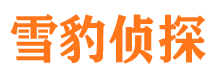 临县寻人公司